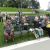 DSCN7408.jpg