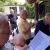 55 Grillfest-am-31.Juli-2015.jpg