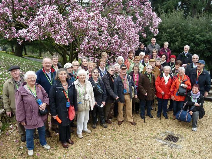 Die Reisegruppe vor einem Magnolienbaum in voller Blüte in den Vatikanischen Gärten Die Reisegruppe von Harmonica Sound Eusksirchen