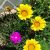 2016-05-28 11.26.50.jpg