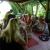 DSCN7165.jpg